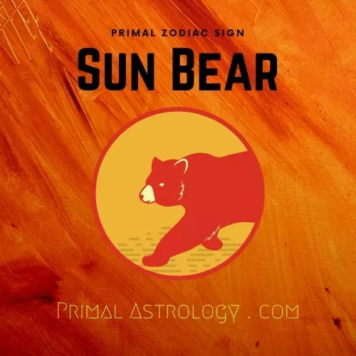 Primal Zodiac Sign of Sun Bear