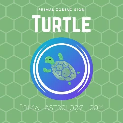 Primal Zodiac Sign of Turtle