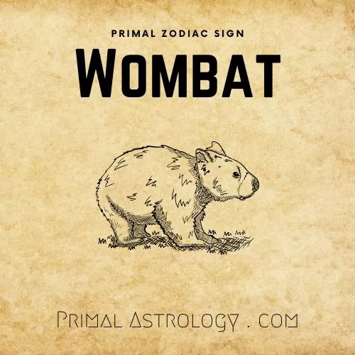 Primal Zodiac Sign of Wombat